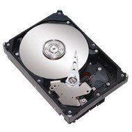MAXTOR DiamondMax 23 750GB - Hard Drive