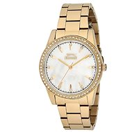 SLAZENGER SL.09.6077.3.03 - Women's Watch