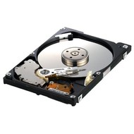 Pevná disk Samsung 2.5" Spinpoint M HM080HC - Hard Drive