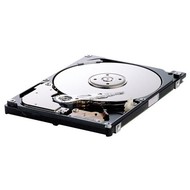 Pevný disk Samsung 2.5" Spinpoint M5 HM250JI 250GB - Hard Drive