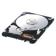Samsung 2.5" Spinpoint M6 HM320JI 320GB - Hard Drive