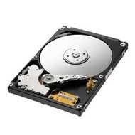 Samsung 2.5" Spinpoint M7E HM321HI 320GB - Hard Drive