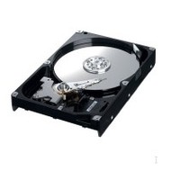 Samsung SpinPoint S250 250GB, SATA II NCQ, 8MB cache, 7200ot., 8.9ms, HD252KJ - Hard Drive
