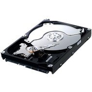 Samsung SpinPoint F1 250GB HD251HJ - Hard Drive