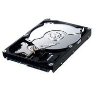 Samsung SpinPoint F1 250GB - Hard Drive