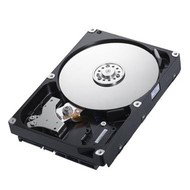 Samsung SpinPoint F3 250GB - Hard Drive