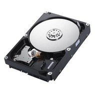 Samsung SpinPoint F4 320GB - Hard Drive