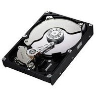 Samsung SpinPoint F3 500GB - Hard Drive