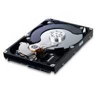 Samsung SpinPoint F2 1TB - Hard Drive