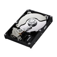 SAMSUNG SpinPoint F3 1000GB - Hard Drive