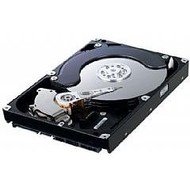 Samsung SpinPoint F3 1TB - Hard Drive