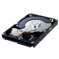 SAMSUNG SpinPoint F3 1500GB - Hard Drive