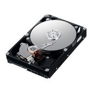 SAMSUNG SpinPoint F3 2000GB - Hard Drive