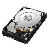 Samsung SpinPoint EcoGreen F4 2TB - Hard Drive