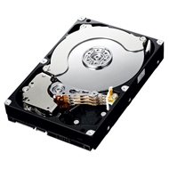 Samsung ST2000DL004 2000GB - Hard Drive