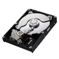 Samsung SpinPoint EcoGreen F3 1.5TB - Hard Drive