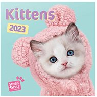 Kalendář 2023 Koťata - Nástěnný kalendář