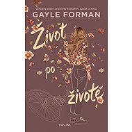 Život po životě - Gayle Forman
