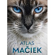 Atlas mačiek - The Stranger