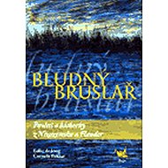Bludný bruslař - collective of authors