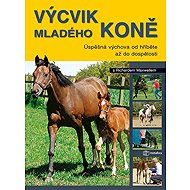 Výchova mladého koně - 