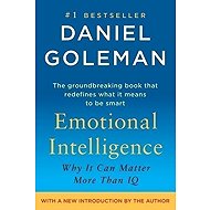 Emotional Intelligence - Daniel Goleman