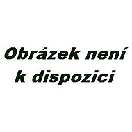 Hlazení duše (v anglickém jazyce) - Václav Budinský