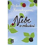 Nebe v ostružiní - 