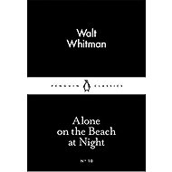 On the Beach at Night Alone - Walt Whitman