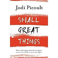 Small Great Things - Jodi Picoult