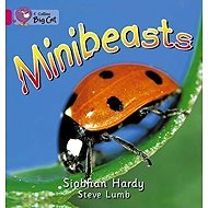 Minibeasts : Band 01a/Pink a - 