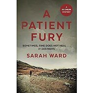 A Patient Fury - 