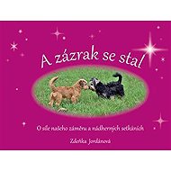 A zázrak se stal - Zdeňka Jordánová