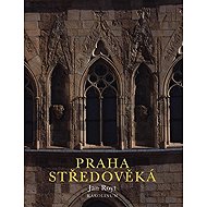 Praha středověká - Jan Royt