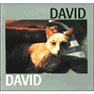 David - Jiří David