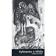 Vyhnanec s křídly - Lukáš Vavrečka
