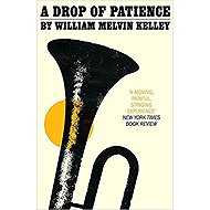 A Drop of Patience - 