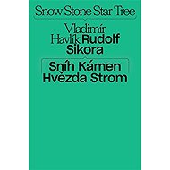 Sníh, kámen, hvězda, strom - 