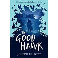 The Good Hawk (Shadow Skye, Book One) - 