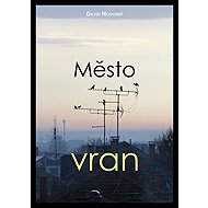 Město vran - David Novotný