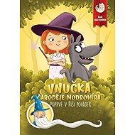 Vnučka čaroděje Modromíra / Poprvé v říši pohádek - Martin Kučera