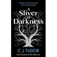 A Sliver of Darkness - C. J. Tudor