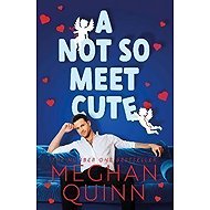 A Not So Meet Cute - Meghan Quinn