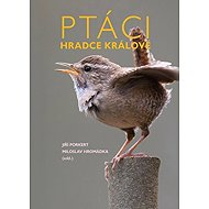 Ptáci Hradce Králové - 
