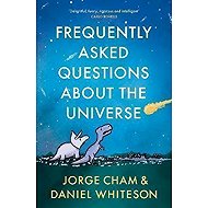Frequently Asked Questions About the Universe - 