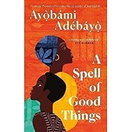 A Spell of Good Things - Ayobami Adebayo