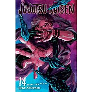 Jujutsu Kaisen 14 - Gege Akutami