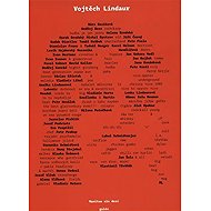Vojtěch Lindaur - Manitou sin desi - collective of authors