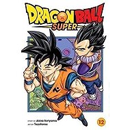 Dragon Ball Super 12 - 