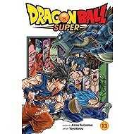 Dragon Ball Super 13 - 